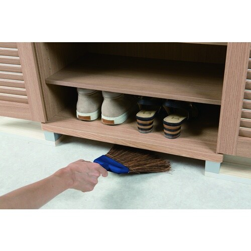 コンドル YS.庭箒(シダ)N