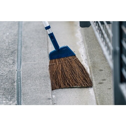 コンドル YS.庭箒(シダ)N