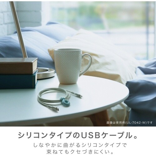 ソニック しなやかシリコンUSBケーブル 1m T