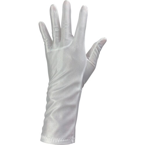 WINCESS 防塵手袋 ロングタイプ L (1