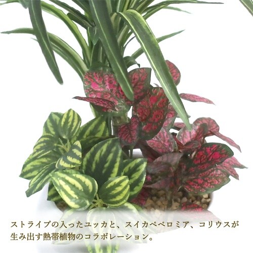 ササガワ 人工観葉植物 ユッカ寄植え Sサイズ