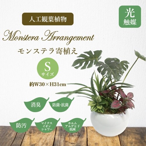ササガワ 人工観葉植物 モンステラ寄植え Sサイズ
