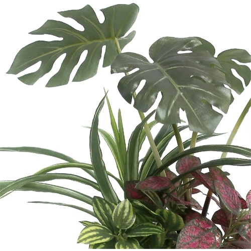 ササガワ 人工観葉植物 モンステラ寄植え Sサイズ