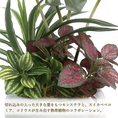 ササガワ 人工観葉植物 モンステラ寄植え Sサイズ