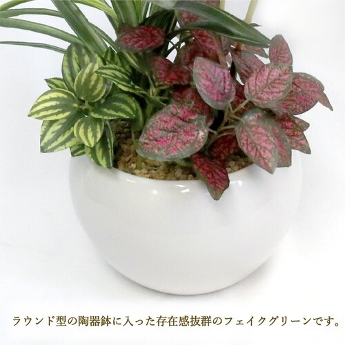 ササガワ 人工観葉植物 モンステラ寄植え Sサイズ
