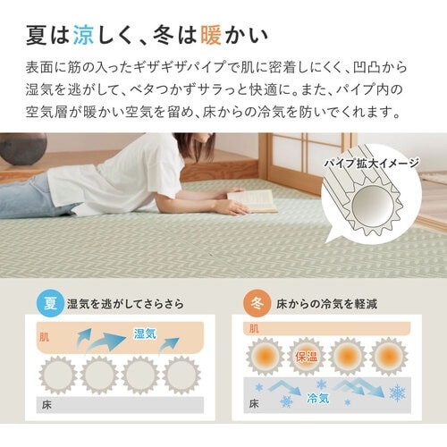 萩原 敷き詰め 洗えるい草風カーペット パスラッシ