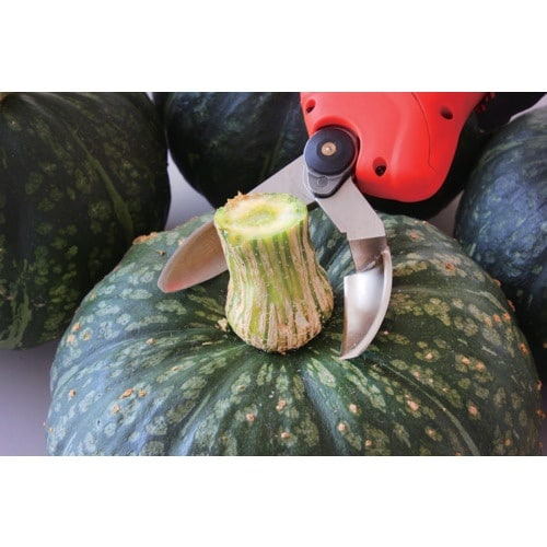 ニシガキ カボチャはさみ(バッテリーバッテリー・充