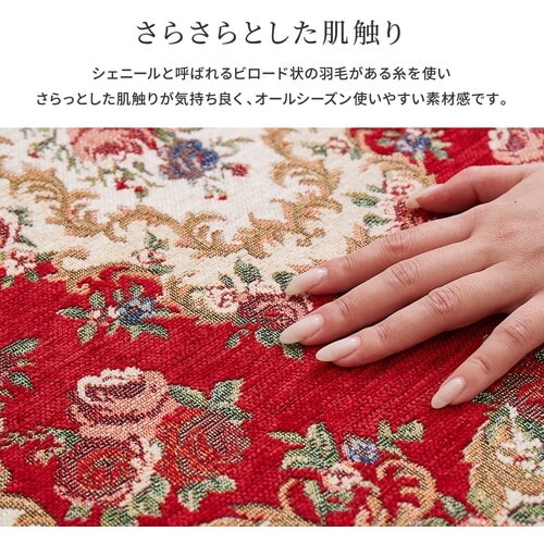 萩原 ゴブラン織りの玄関マット ザイン 50×80