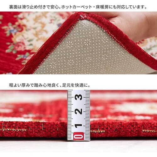 萩原 ゴブラン織りの玄関マット ザイン 50×80