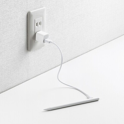 SANWA Apple iPad専用充電式極細タッ