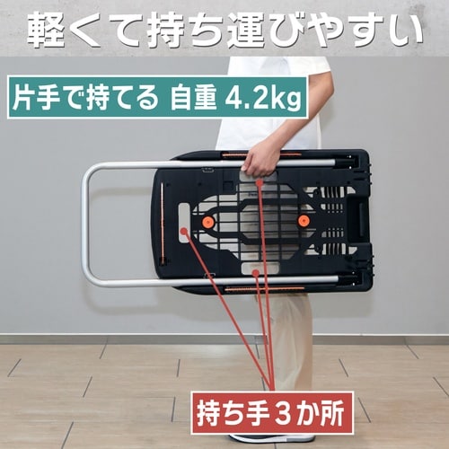 TRUSCO こまわり君(新型) 600X390