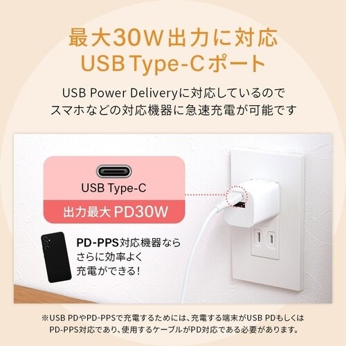 Owltech 最大PD30W出力 GaN(窒化ガ