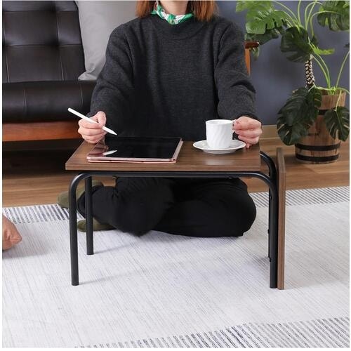 不二貿易 EZBO 2WAYテーブル(小) MBR