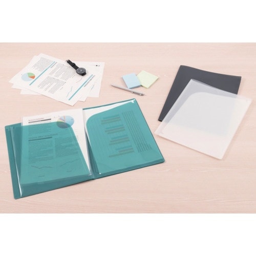 ナカバヤシ ポイ・ファイルA48ポケットブルー