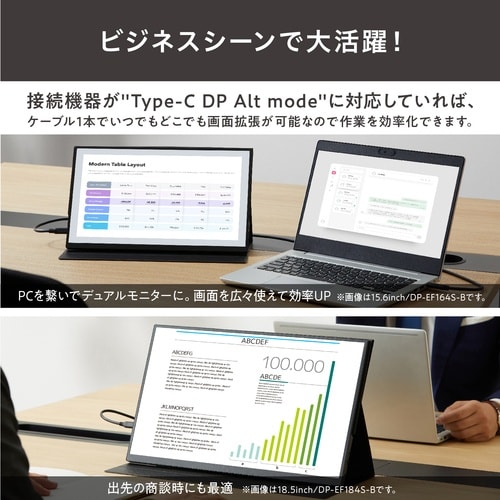 IRIS 110455 ポータブルモニター 15.