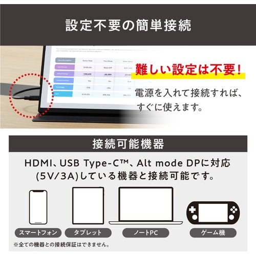 IRIS 110455 ポータブルモニター 15.