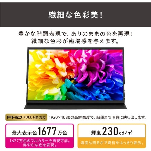 IRIS 110455 ポータブルモニター 15.