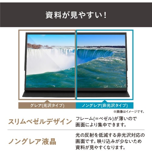 IRIS 110455 ポータブルモニター 15.