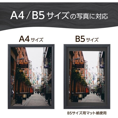 ハクバ 額縁 木製額縁 ピクスリアプラス A4 B