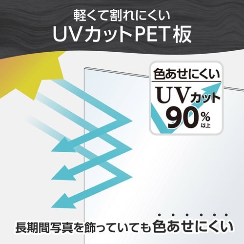 ハクバ 額縁 木製額縁 ピクスリアプラス A4 B