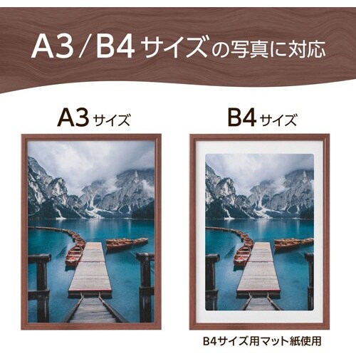 ハクバ 額縁 木製額縁 ピクスリアプラス A4 B