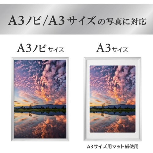 ハクバ 額縁 アルミ額 ペオリアプラス A3N S