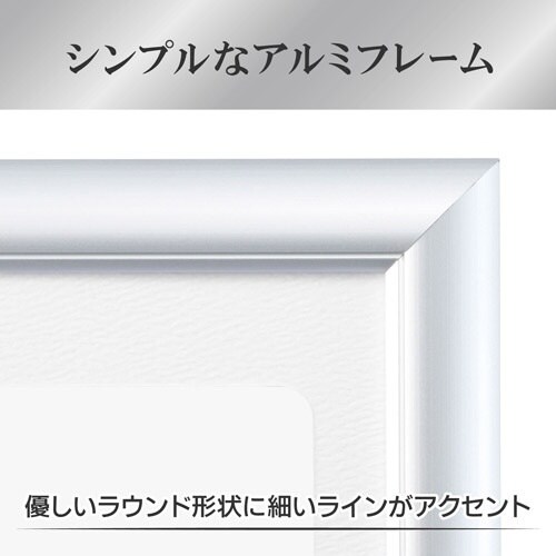 ハクバ 額縁 アルミ額 ペオリアプラス A3N S