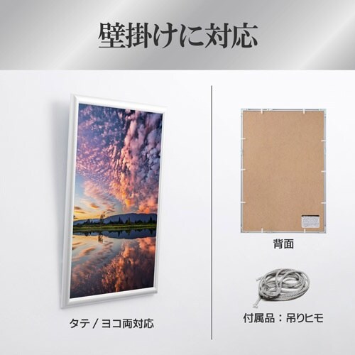 ハクバ 額縁 アルミ額 ペオリアプラス A3N S