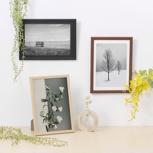 ハクバ 額縁 木製額縁 ピクスリアプラス A4 N