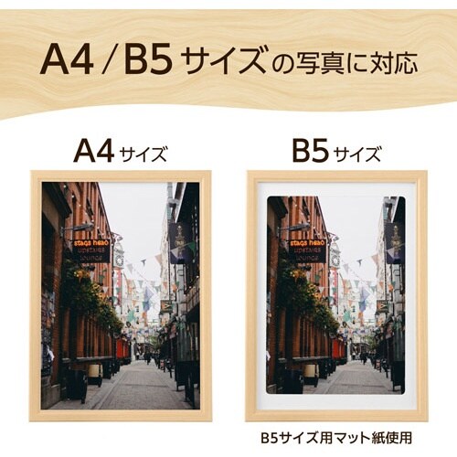 ハクバ 額縁 木製額縁 ピクスリアプラス A4 N