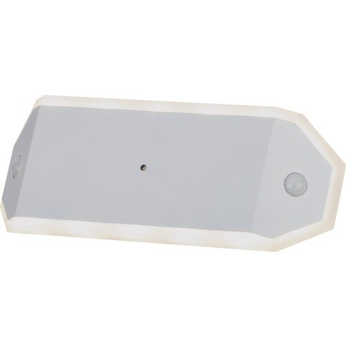 IRIS 108259 乾電池式LEDセンサーライ