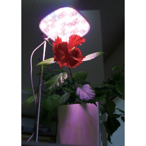 富士倉 植物育成ライト スタンド式