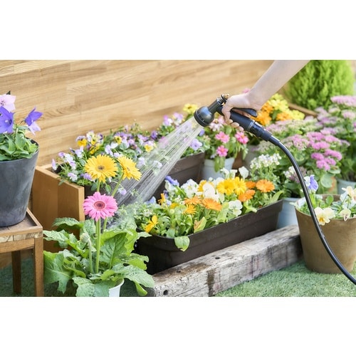 IRIS 296450 メタルアクアガン