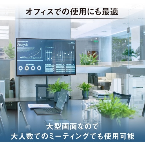 IRIS 108278 大型ディスプレイ 43V型