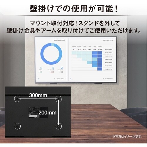 IRIS 108281 大型ディスプレイ 65V型