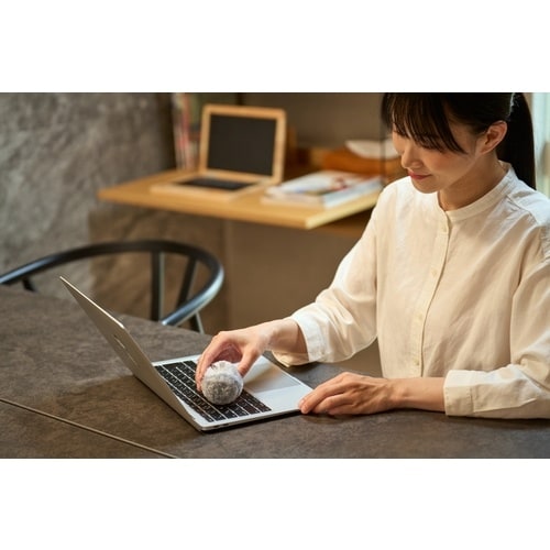 コンドル バスボンくん ホコリガードポンポン スト