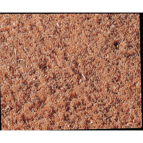 テラモト カルナマット450×750