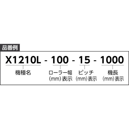 タイヨー スチールローラコンベヤ W100XP15