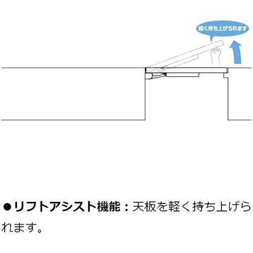 SUGATSUNE (170025806)LAD−