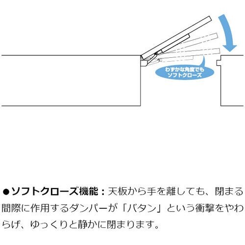 SUGATSUNE (170025804)LAD−