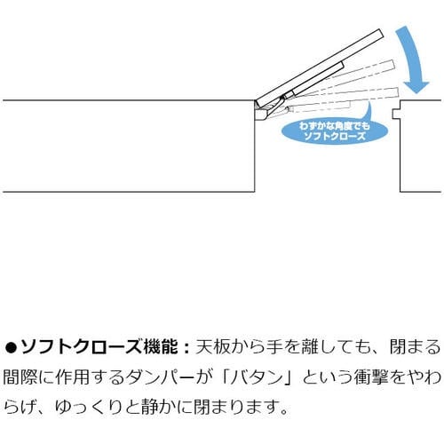 SUGATSUNE (170025805)LAD−