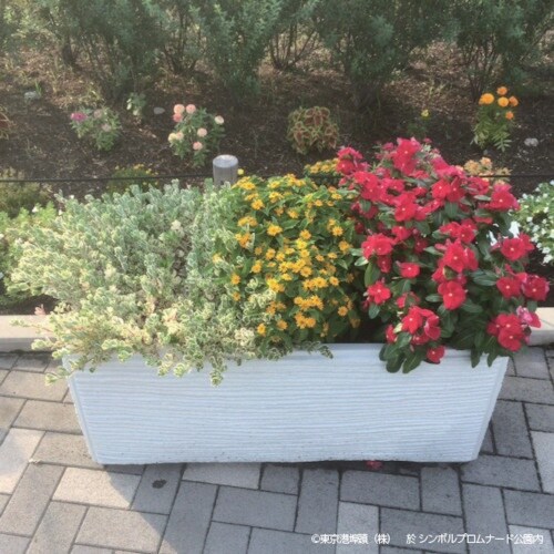 リッチェル タウンプランターWS 100型 石積