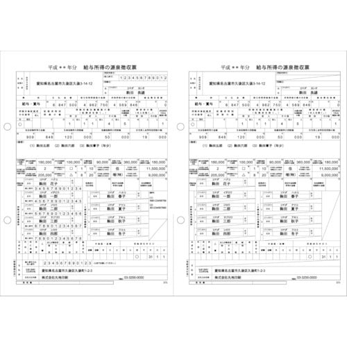 HISAGO マルチプリンタ帳票 A4 白紙 2面