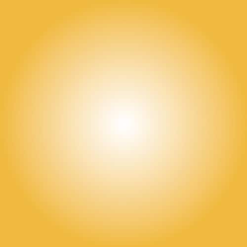 ニッぺ ペンキュア HAKE de PAINT パ