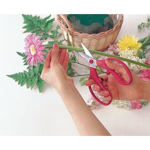 FL−18−BP 花鋏フランバン