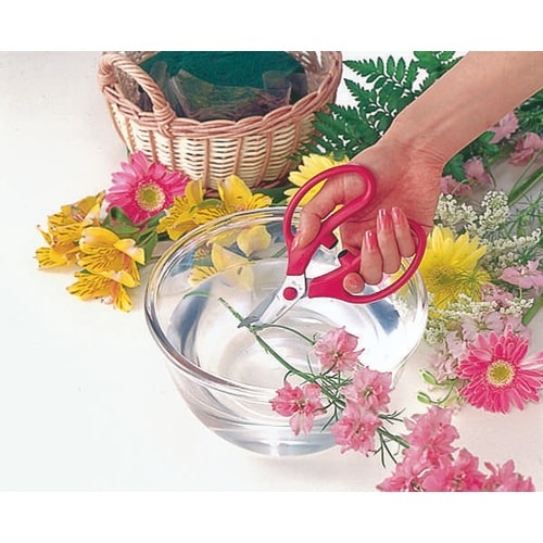 FL−18−BP 花鋏フランバン