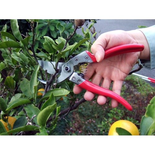 VS−9Z 剪定鋏 ブイエスナイン