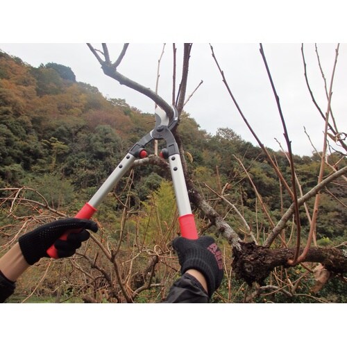 LPB−30S 太枝切鋏ロッパー S