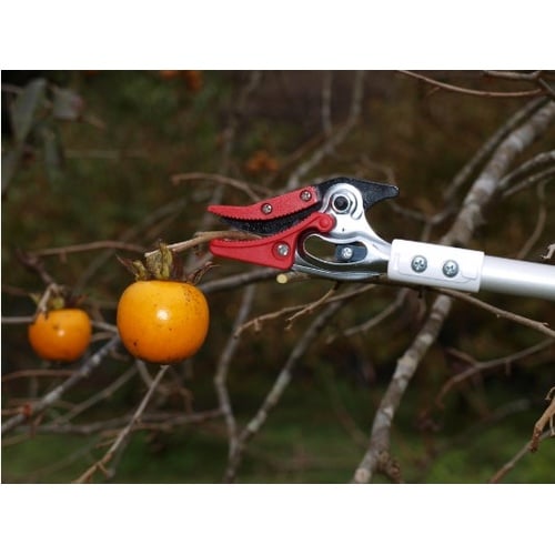 超軽量高枝鋏ライトチョキ