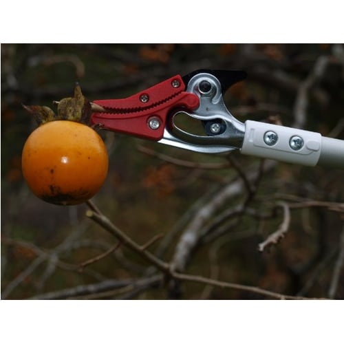 超軽量高枝鋏ライトチョキ